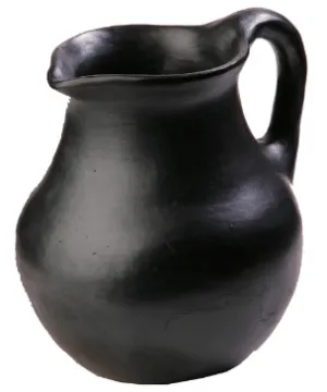 Chamba Pitcher