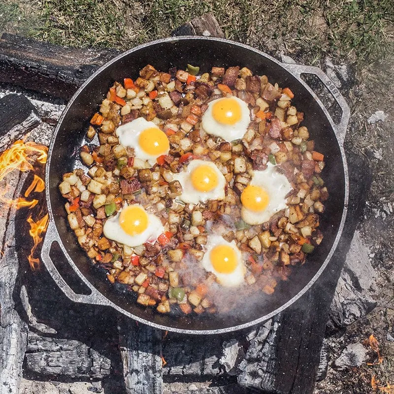 Lodge Dual Handle Pan. 17