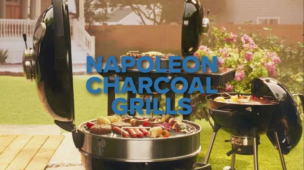 Napoleon Bbq PRO22KCART3 Professional 22 Charcoal Cart 22-Inch Kettle Grill With Cart . Charcoal. Black